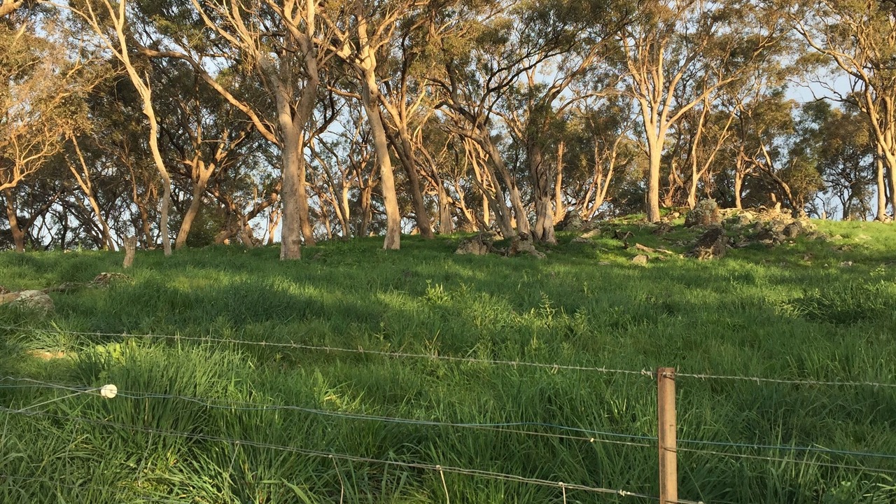 Photo of Outdoor in Orange