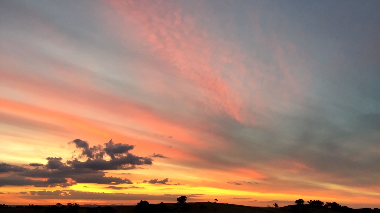 Photo of Others in Orange