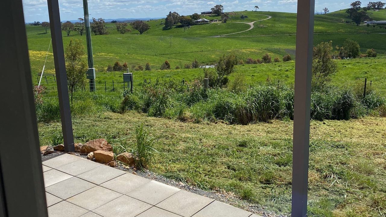 Photo of Others in Orange