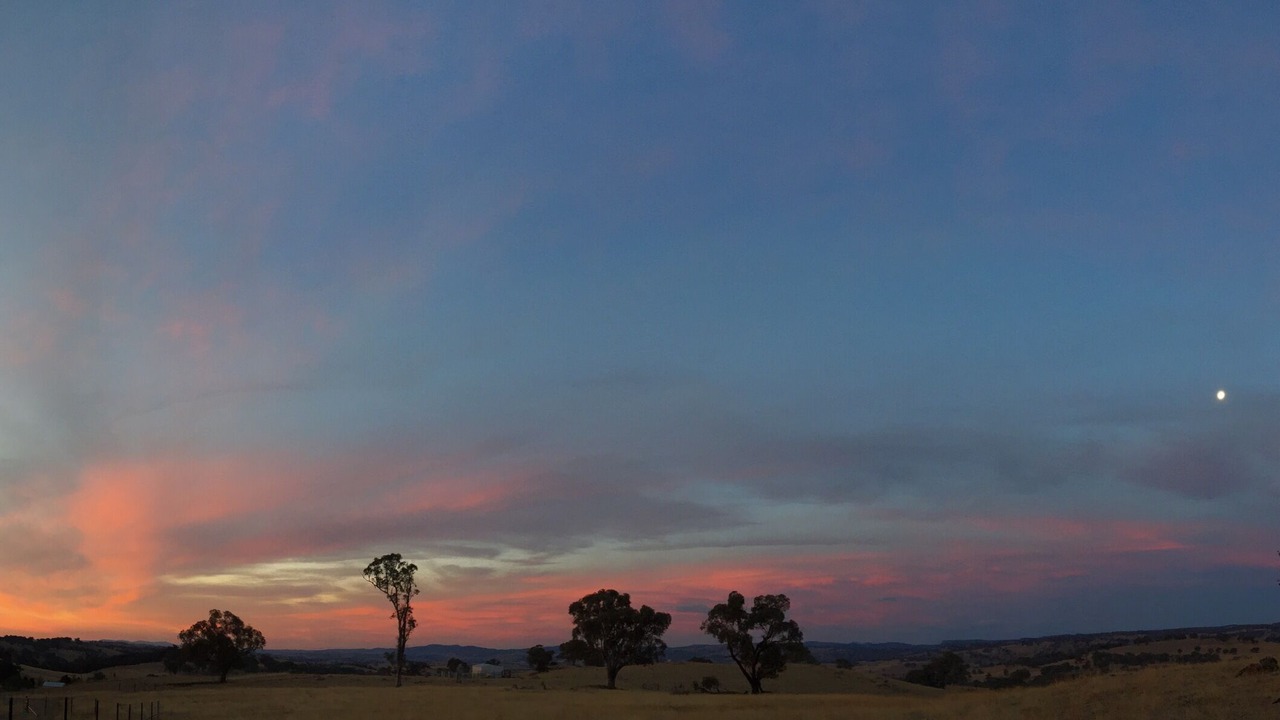 Photo of Others in Orange