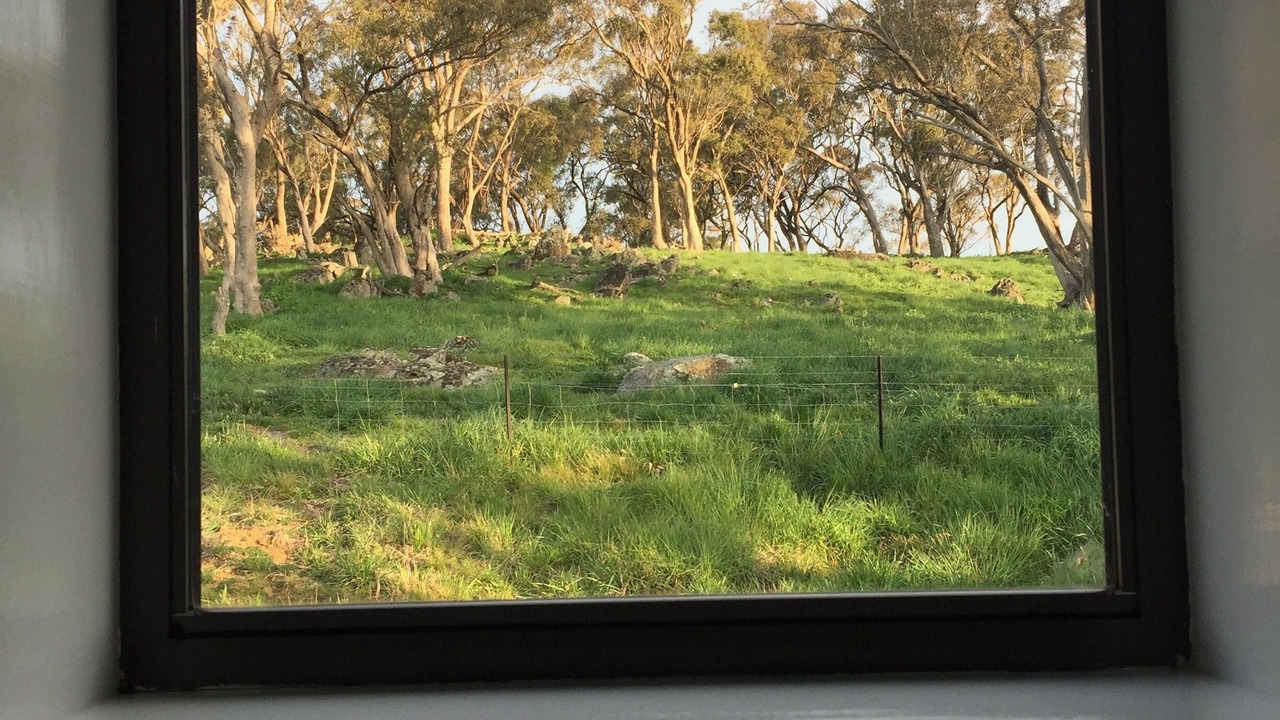 Photo of Others in Orange