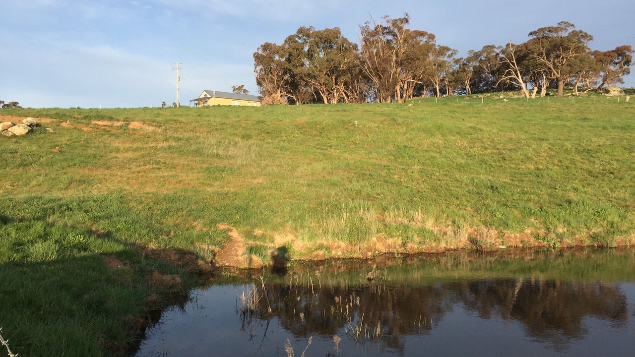Photo of Outdoor in Orange