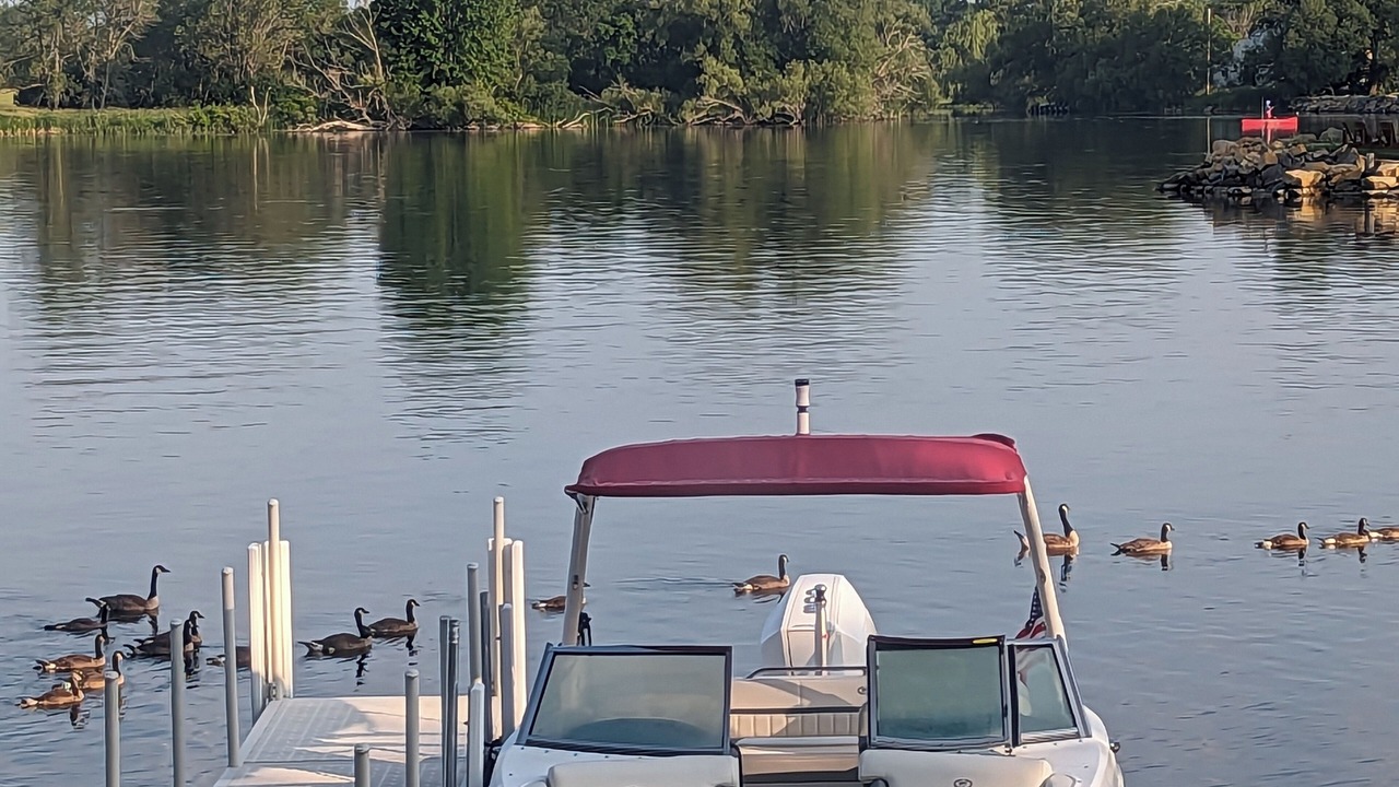 Photo of Others in Three Mile Bay