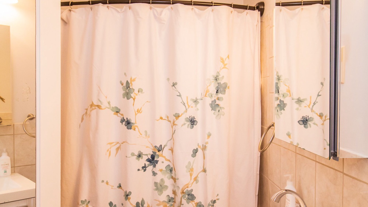 Photo of Bathroom in Coolidge Corner South Side