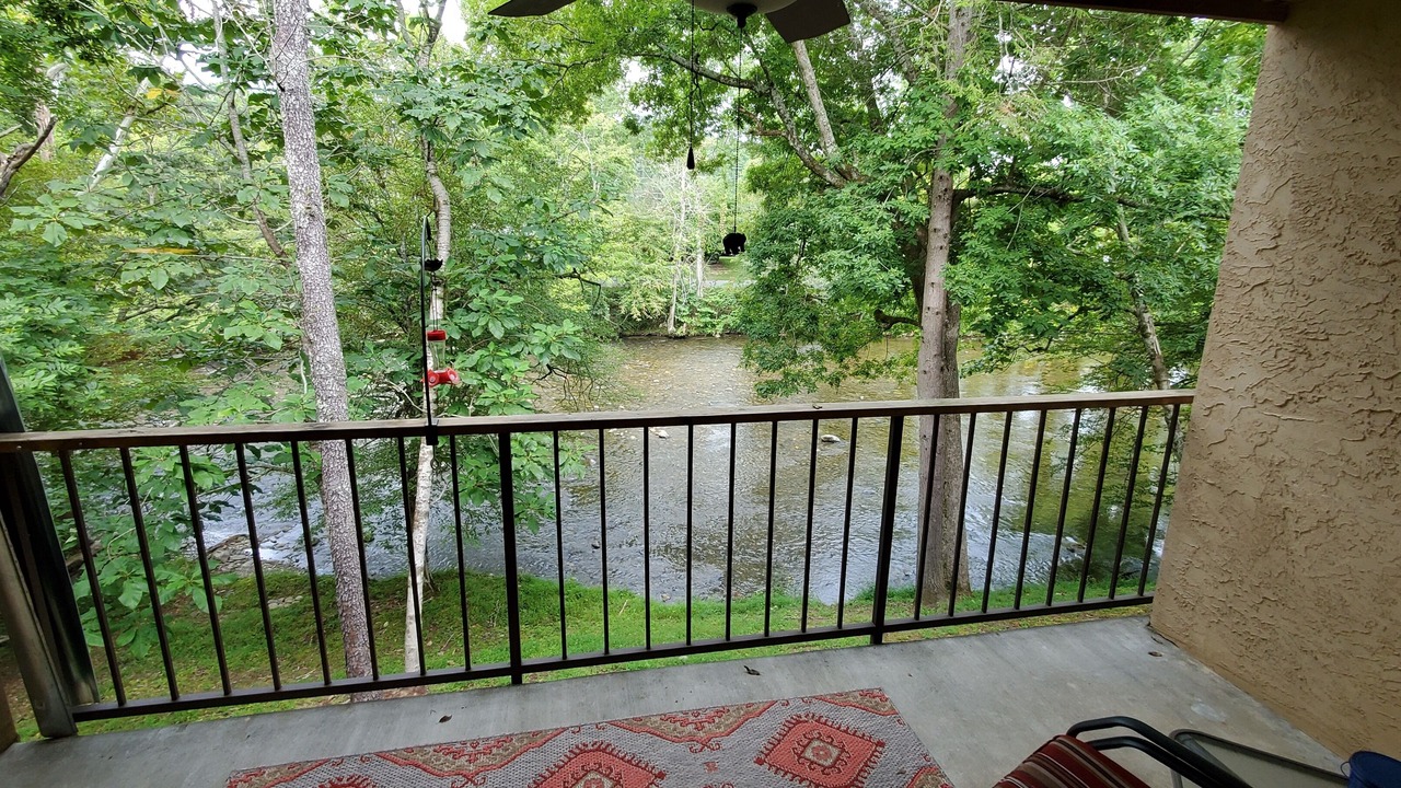 Photo of Outdoor in Townsend