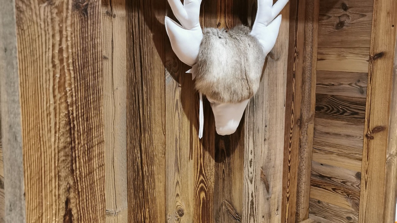 Photo of Others in Les Portes du Soleil