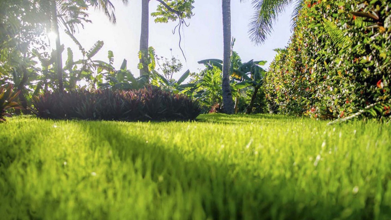 Photo of Outdoor in ProCab