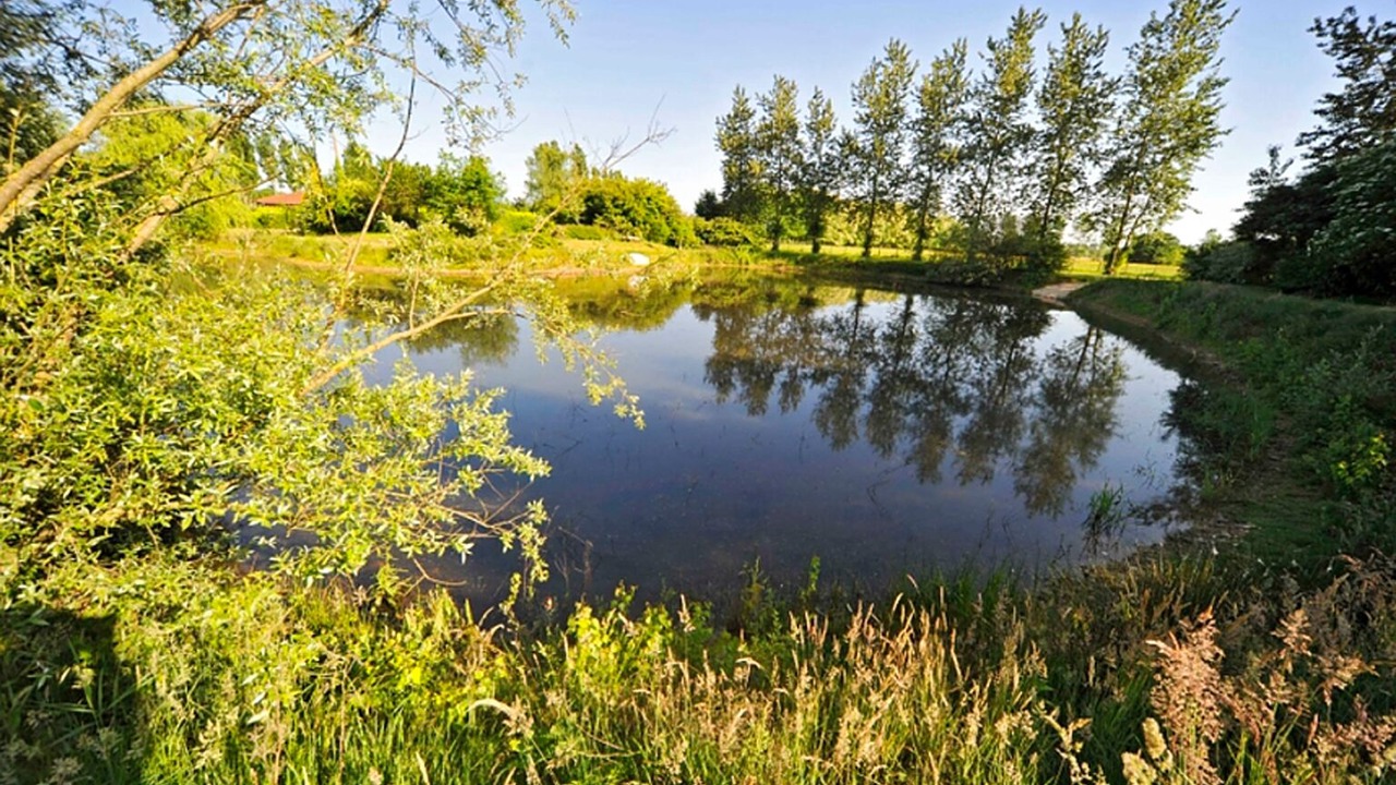 Photo of Outdoor in Villars-les-Dombes