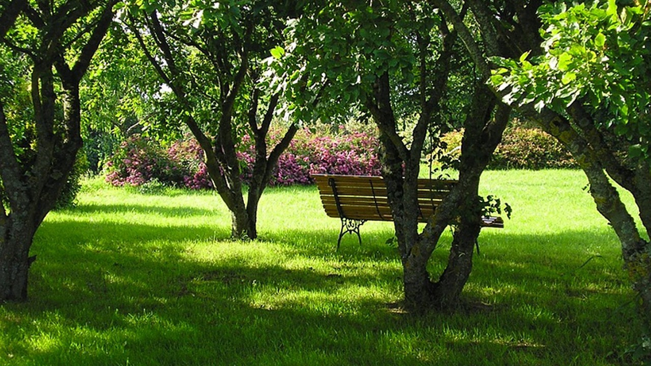 Photo of Outdoor in Villars-les-Dombes