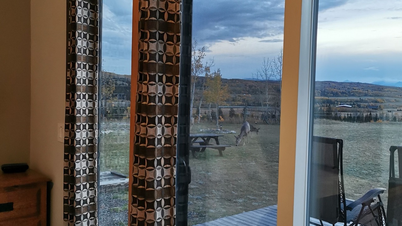 Photo of Others in Calgary