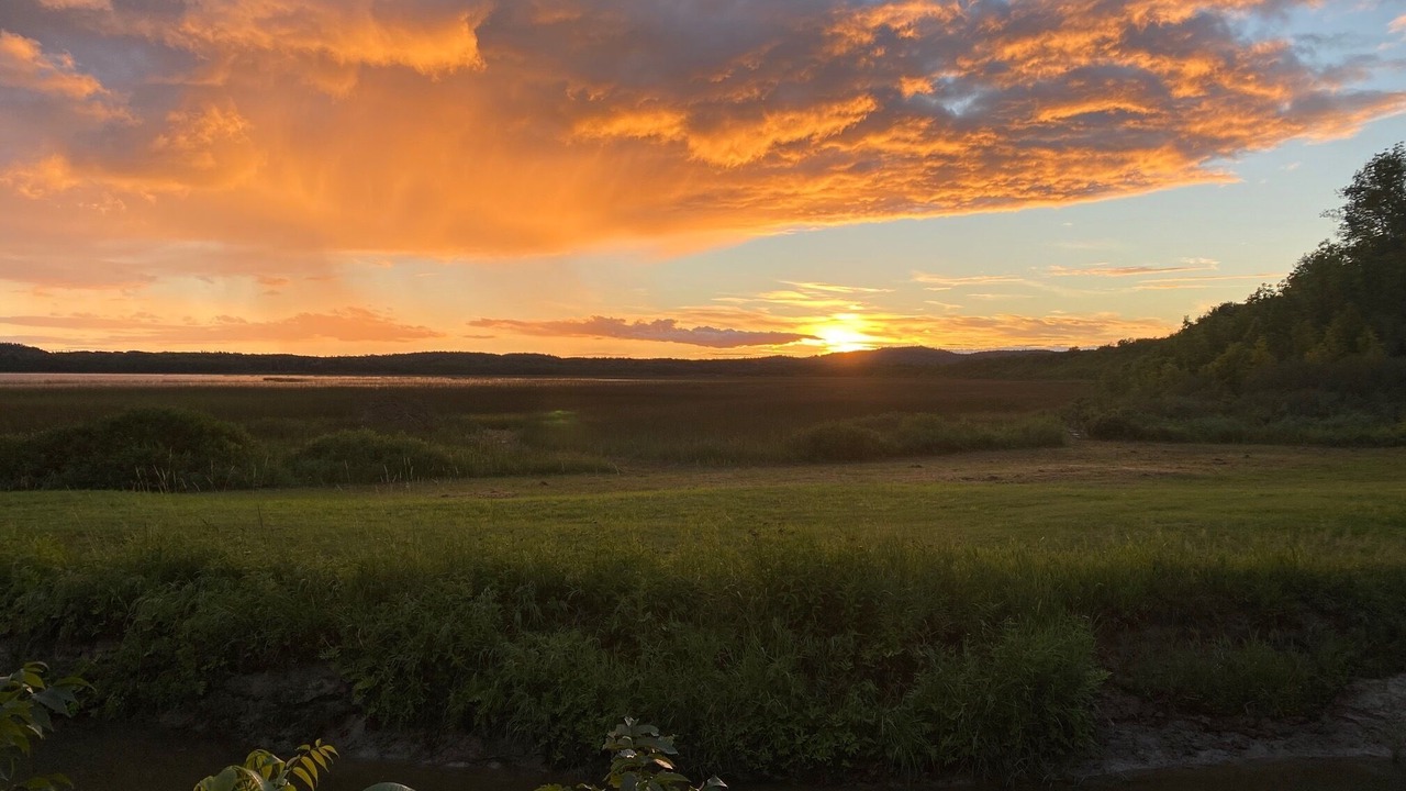 Photo of Outdoor in Mowat Landing