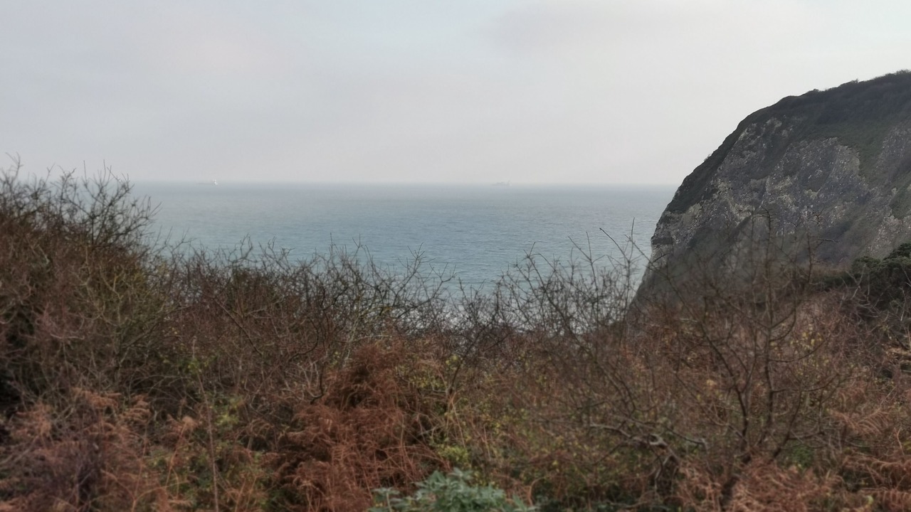 Photo of Others in Bembridge