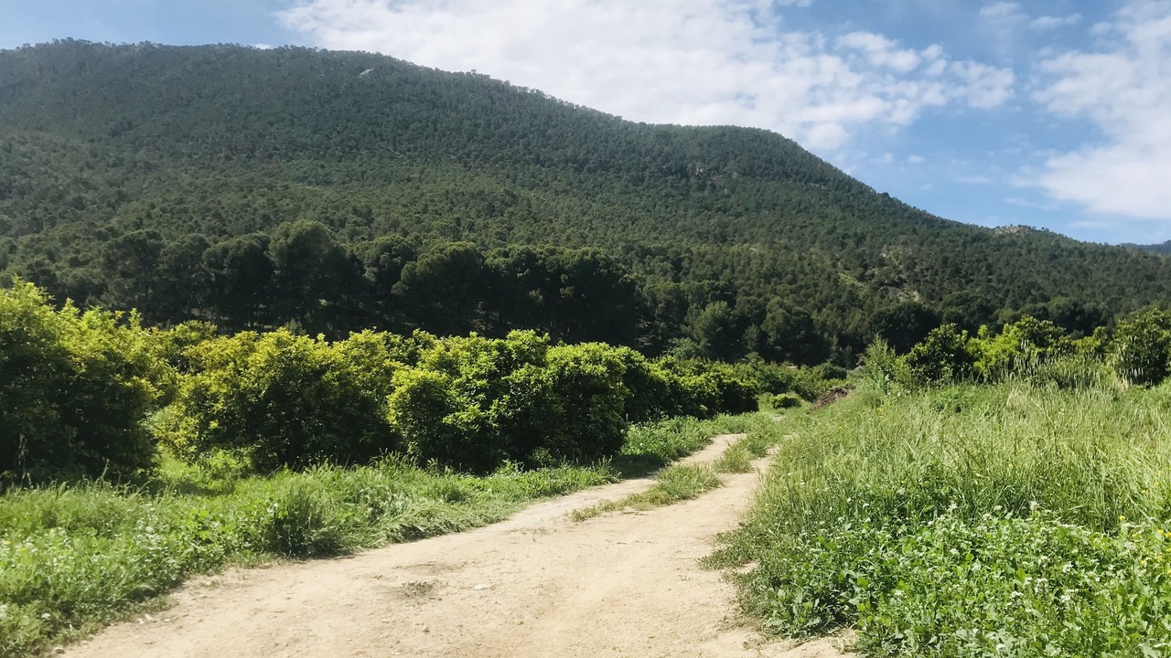 Photo of Outdoor in Huerta de Arriba