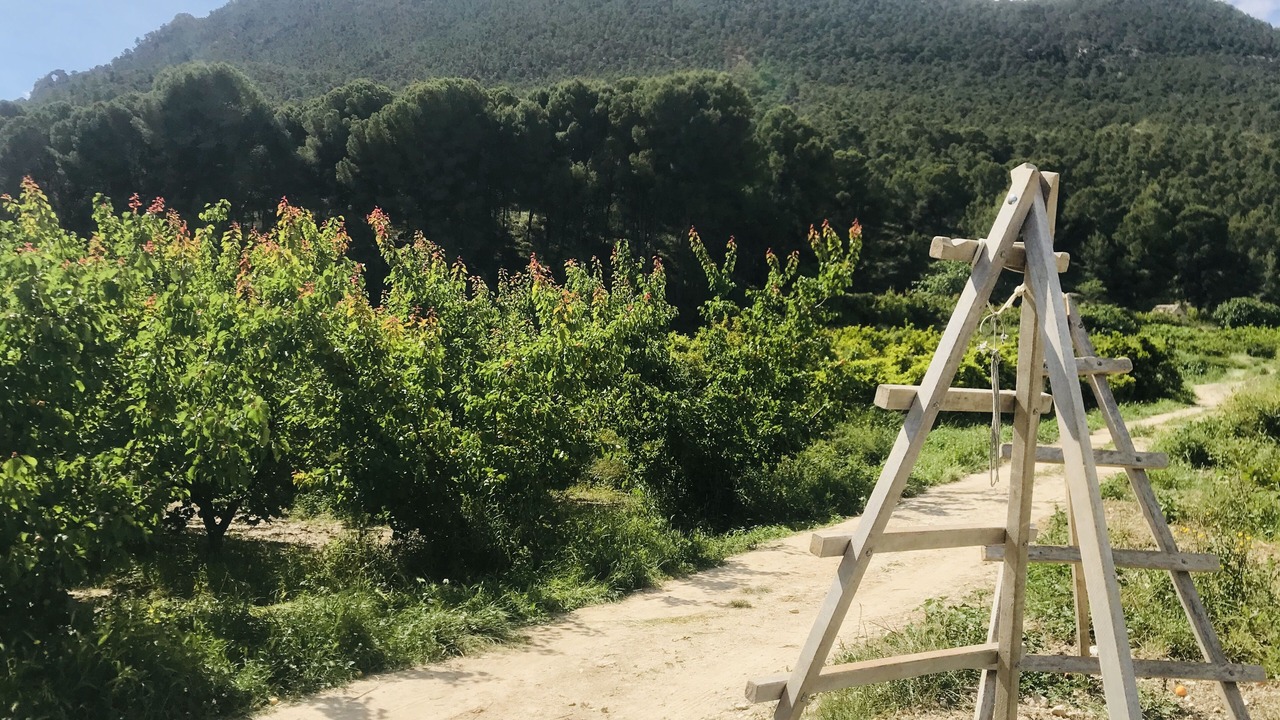 Photo of Outdoor in Huerta de Arriba