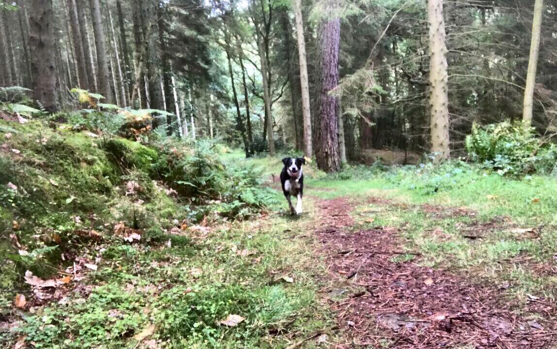 Photo of Others in Kinnerton