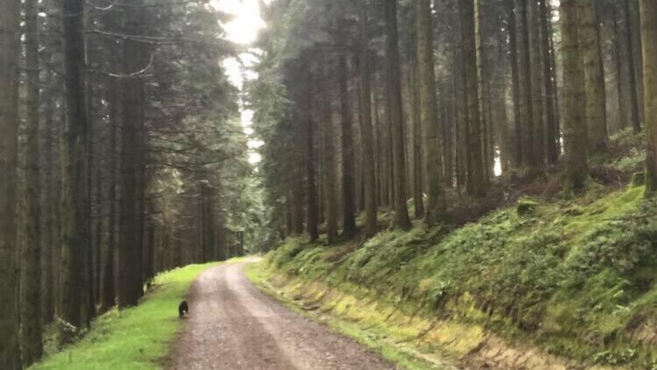 Photo of Others in Kinnerton