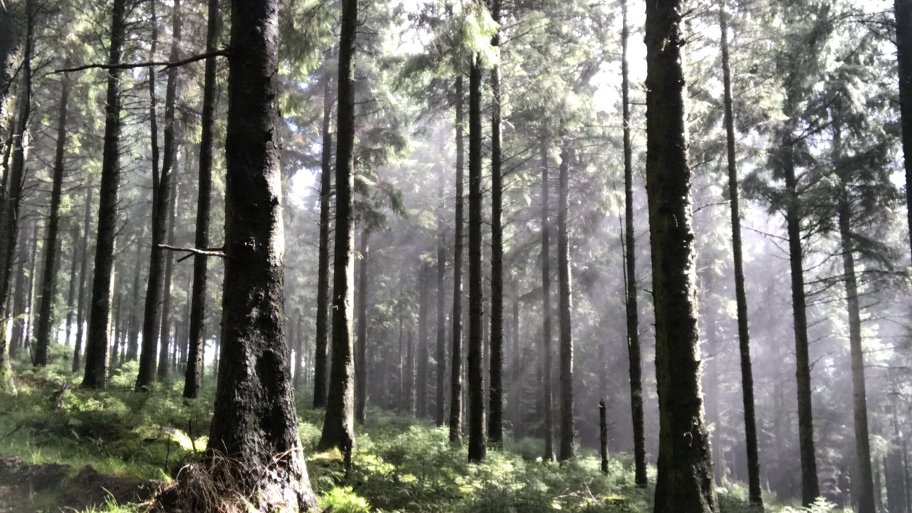 Photo of Others in Kinnerton