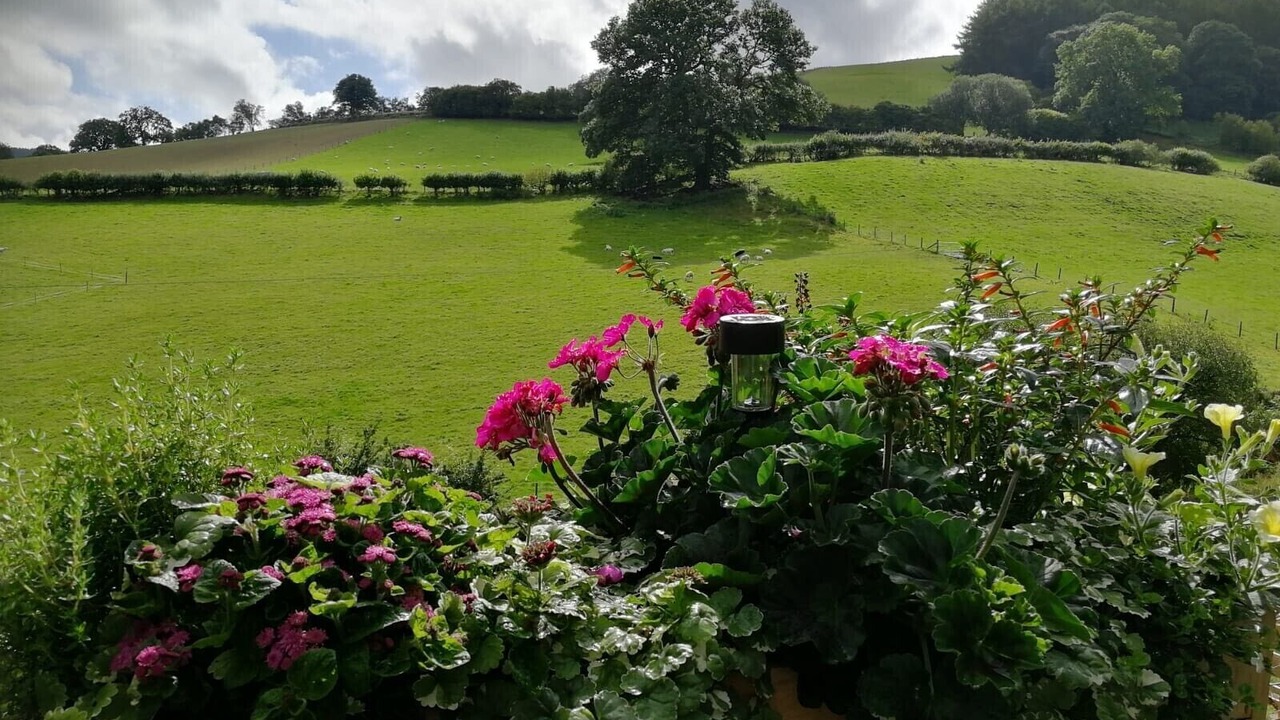 Photo of Others in Kinnerton