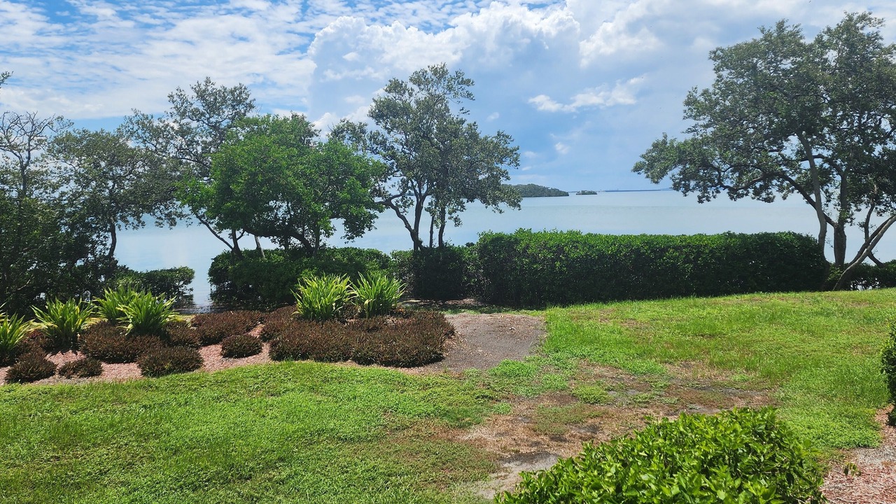 Photo of Others in Tierra Verde