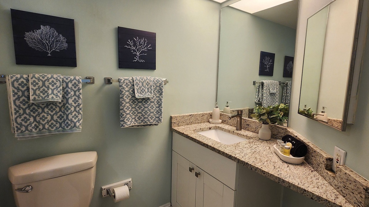 Photo of Bathroom in Tierra Verde