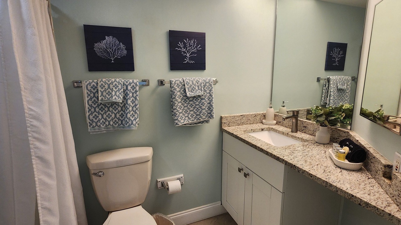 Photo of Bathroom in Tierra Verde