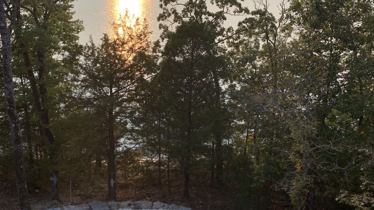 Photo of Others in Sylvan Shores