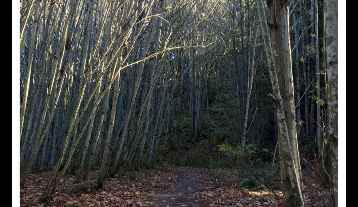 Photo of Others in Broadview