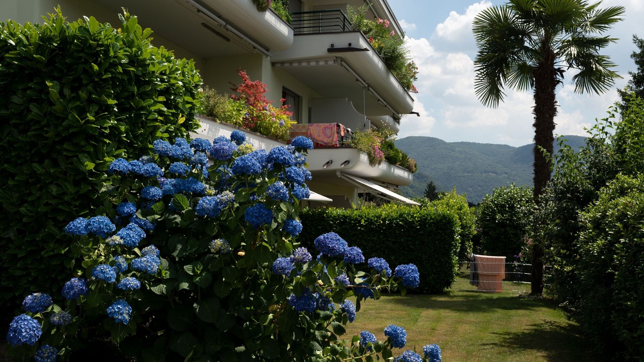 Photo of Outdoor in Caslano