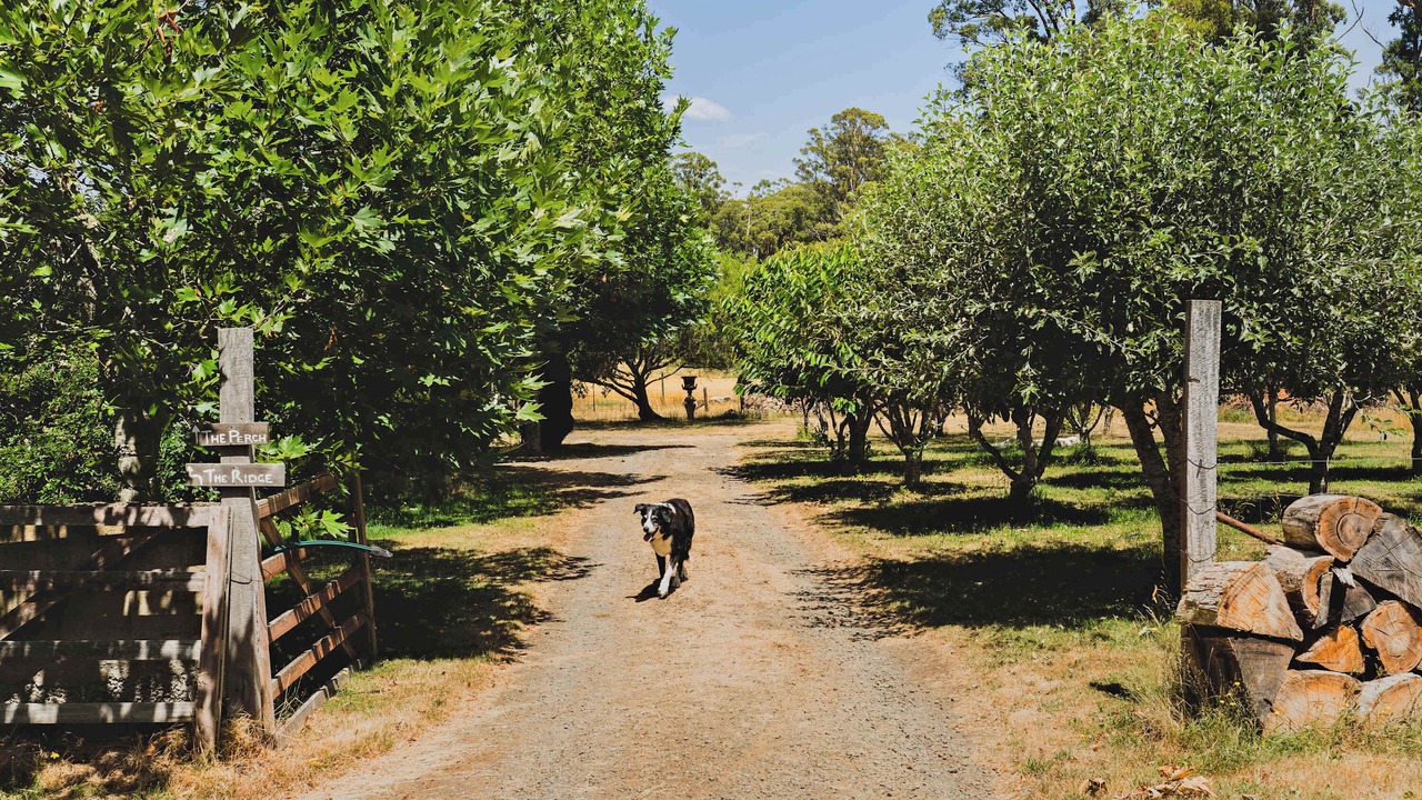 Photo of Others in Korweinguboora