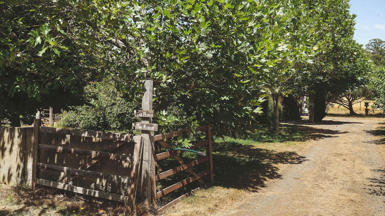 Photo of Others in Korweinguboora