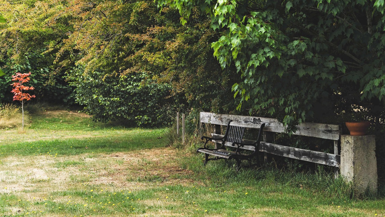 Photo of Outdoor in Korweinguboora