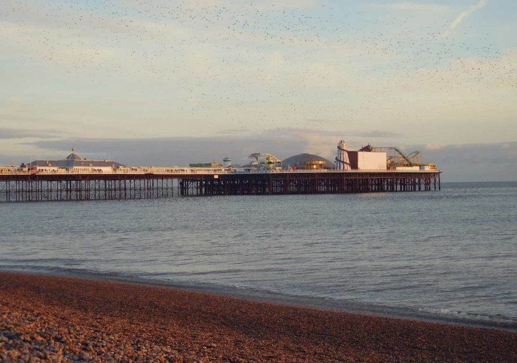 Photo of Others in Brighton