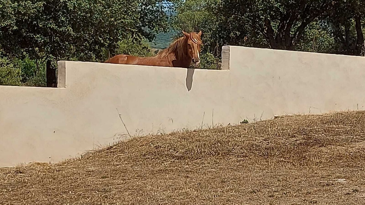Photo of Outdoor in Serra-di-Ferro