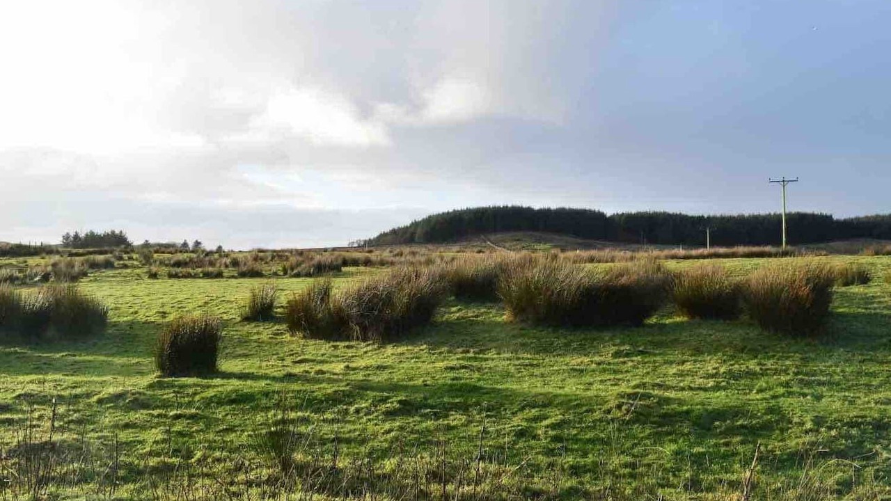 Photo of Others in Port Ellen