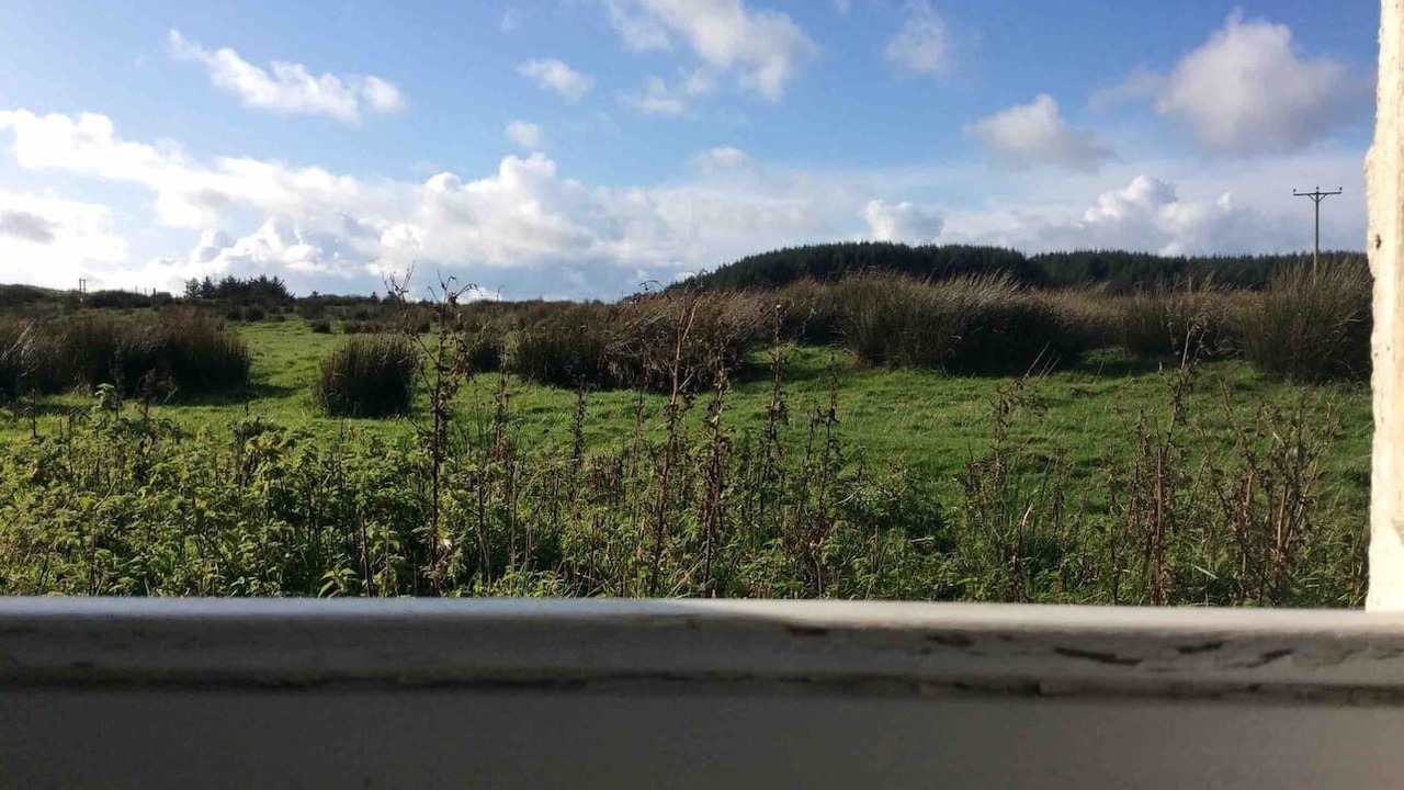 Photo of Others in Port Ellen