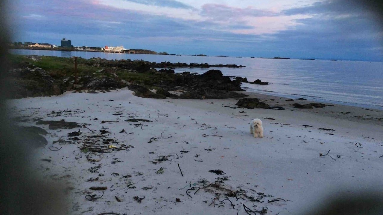 Photo of Others in Port Ellen