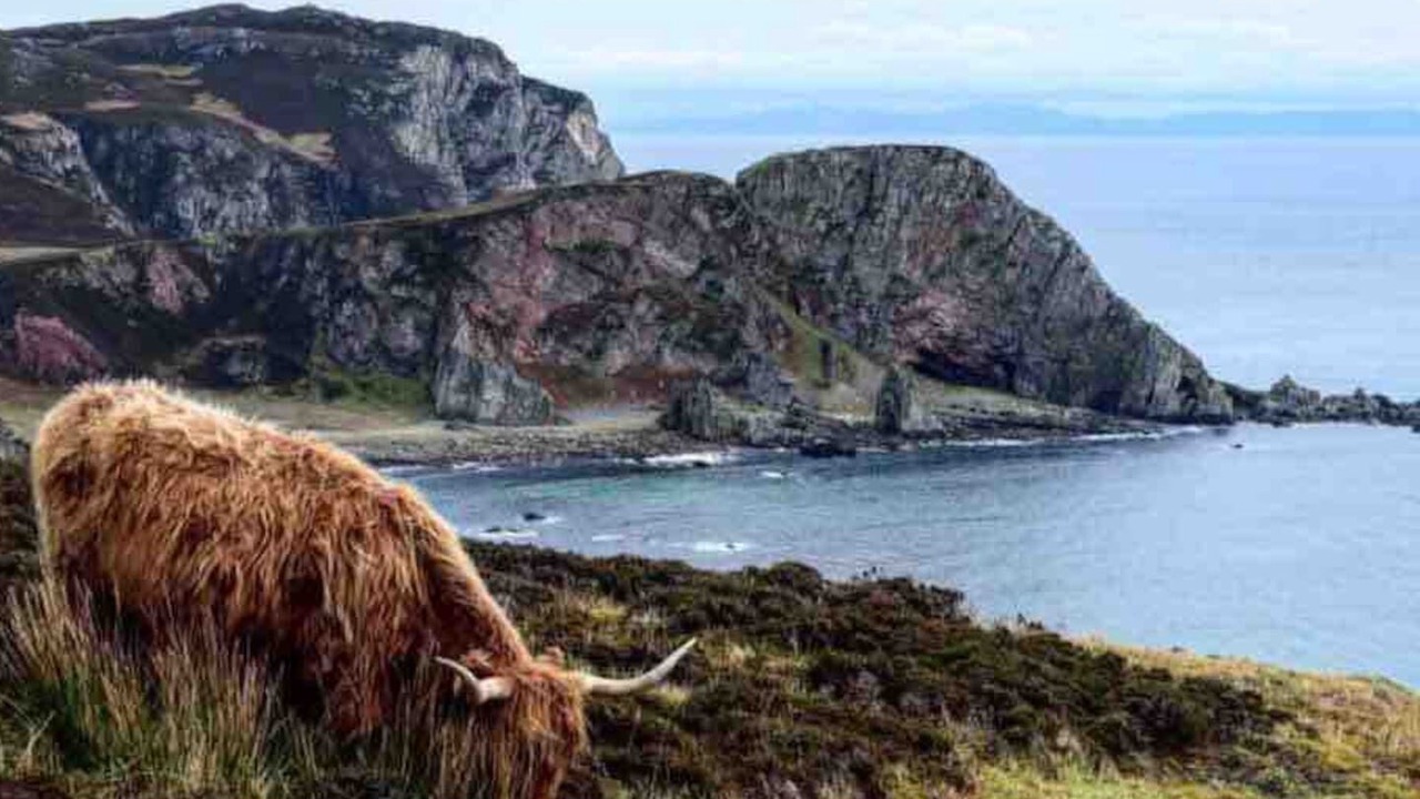 Photo of Others in Port Ellen