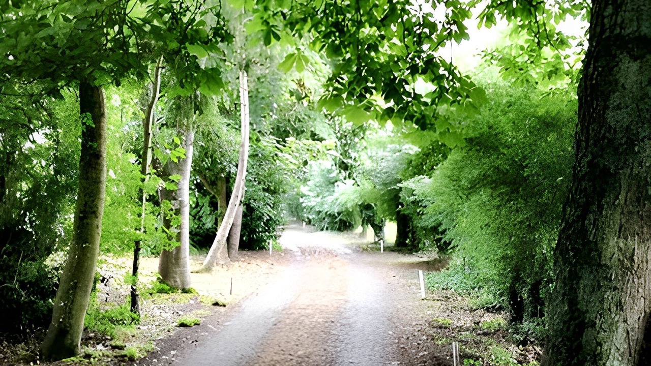 Photo of Outdoor in Boucey