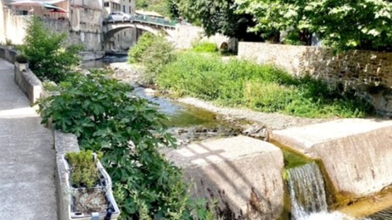 Photo of Outdoor in Cabrespine