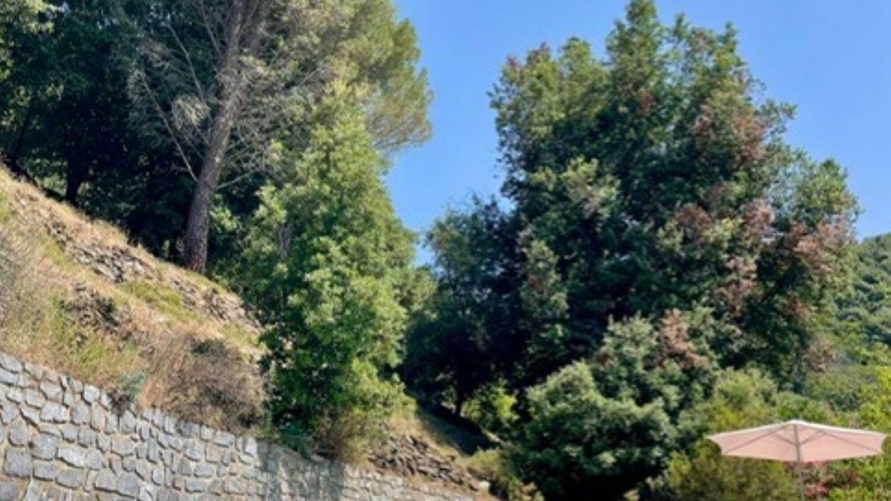 Photo of Outdoor in Cabrespine