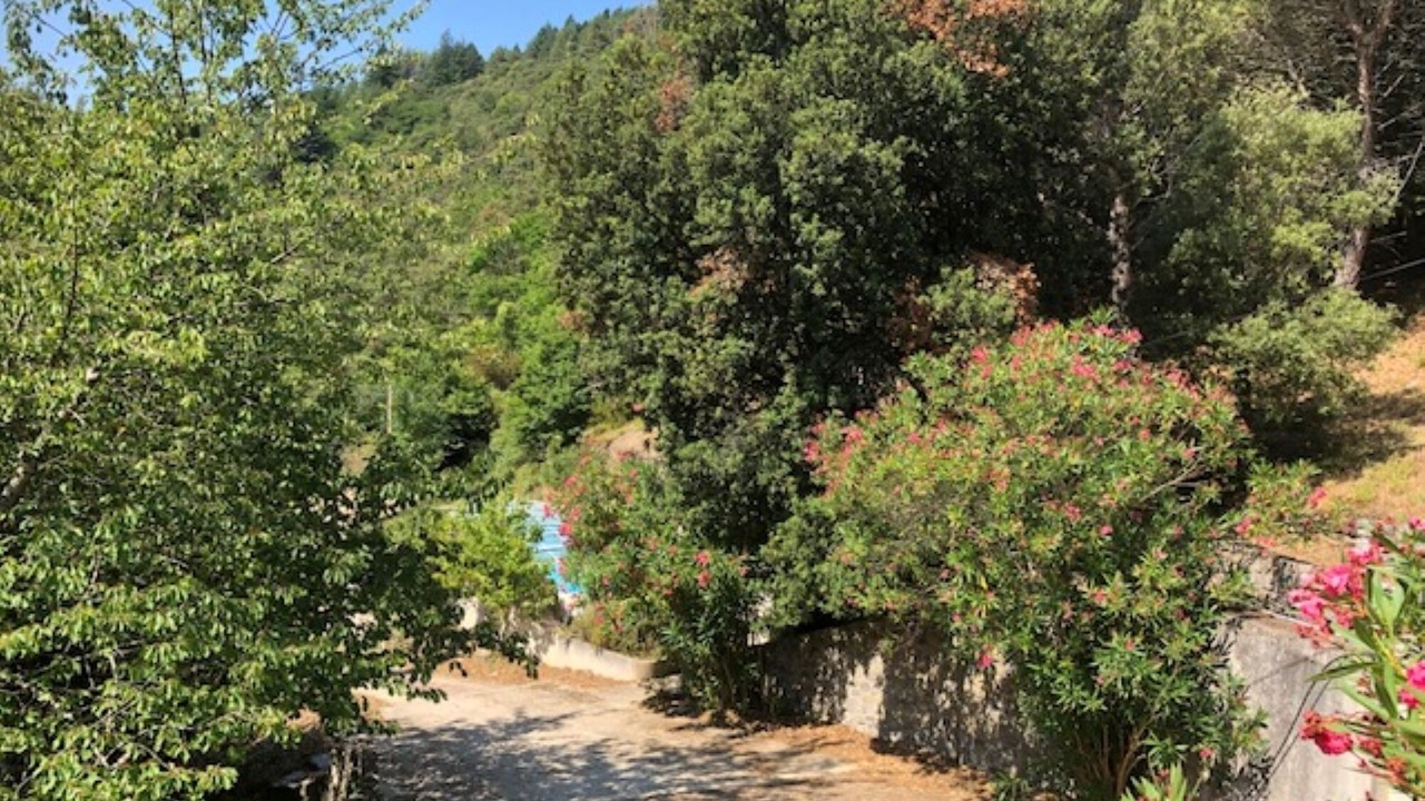 Photo of Outdoor in Cabrespine