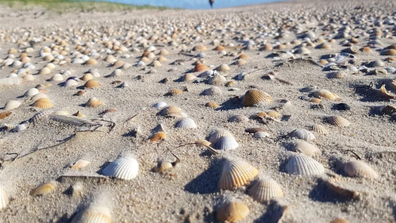 Photo of Others in Sønderstrand