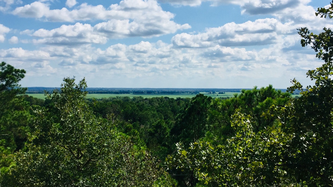 Photo of Others in Bastrop