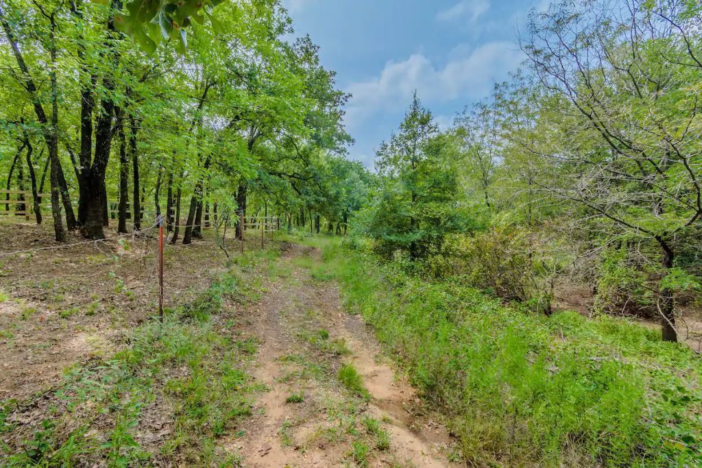 Photo of Outdoor in Hickory Creek