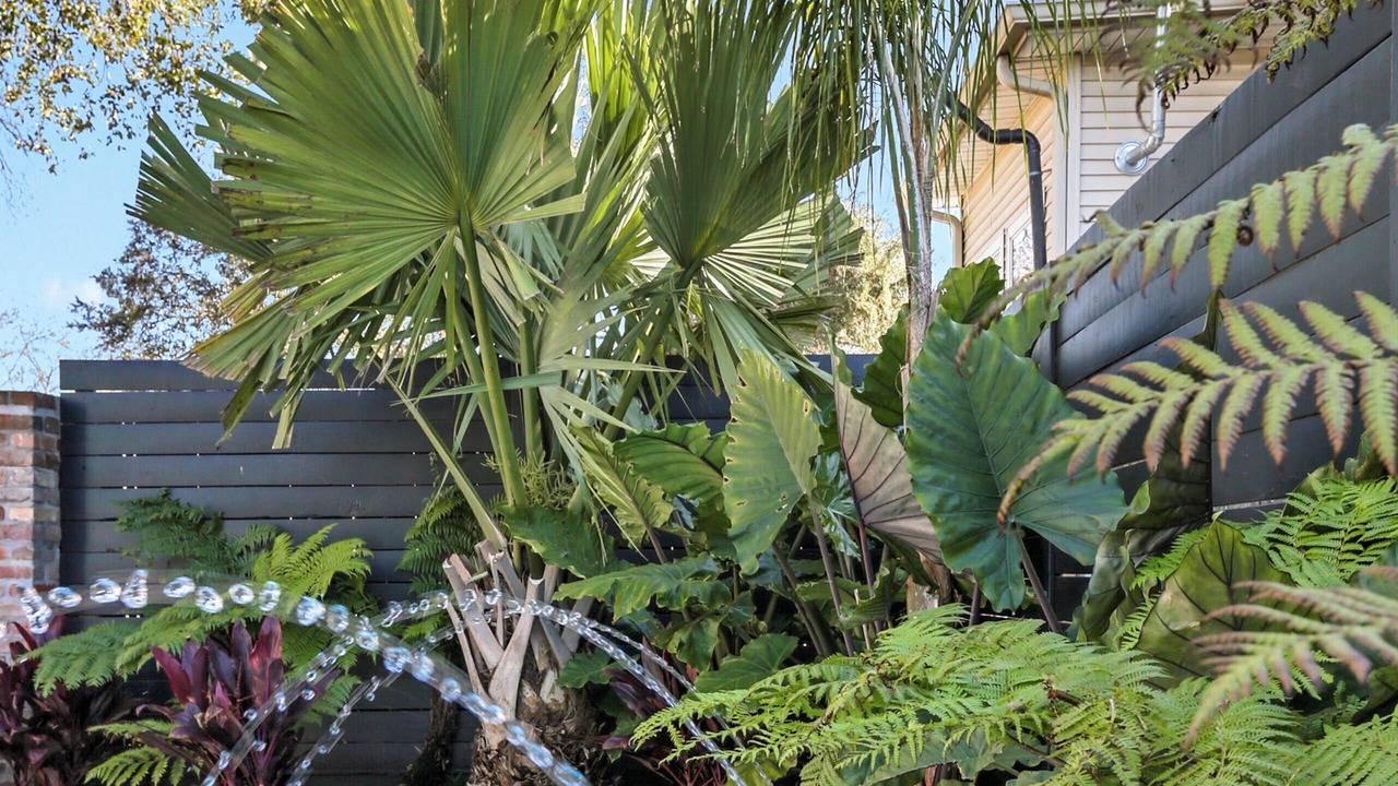 Photo of Outdoor in Tulane - Gravier