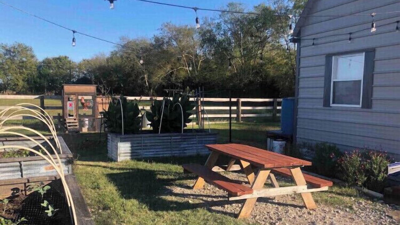 Photo of Outdoor in Point