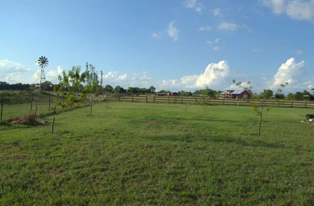 Photo of Outdoor in Point