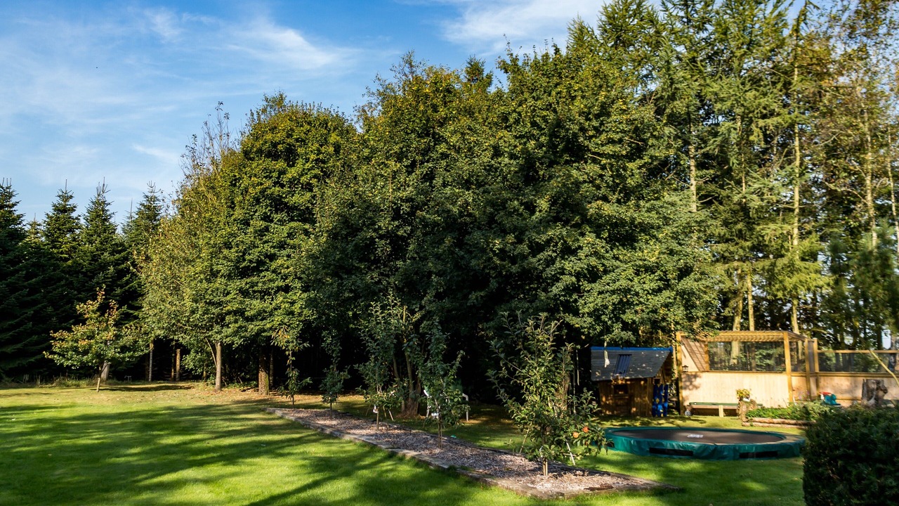 Photo of Outdoor in Svenstrup