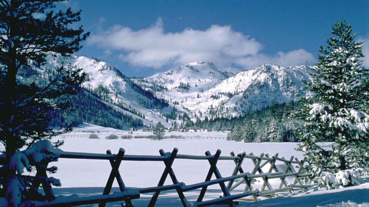 Photo of Others in Olympic Valley