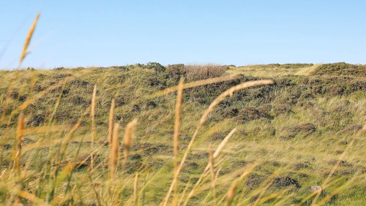 Photo of Others in Hirtshals